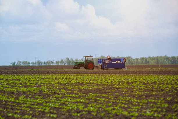istock Agricultural machinery - tractor in field 689065910
