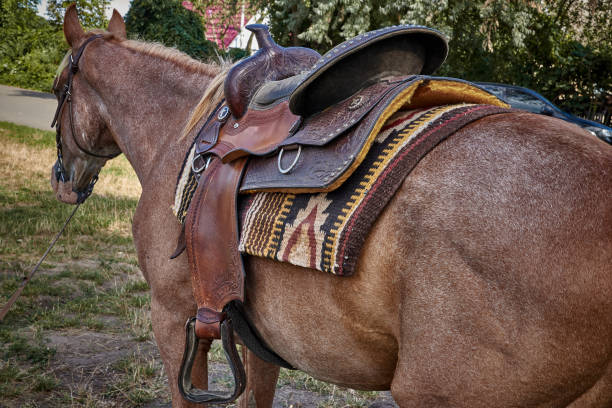istock Western saddle for a horse decorated with beautiful ornament 689069732