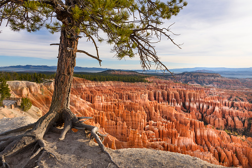 Image taken at edge of Bryce Canyon National Park in Utah.