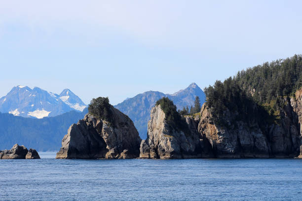 istock Coast of Alaska 689073168