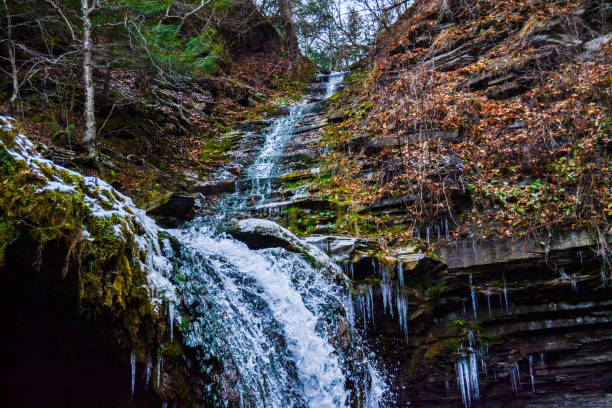 cascade falls stock photo