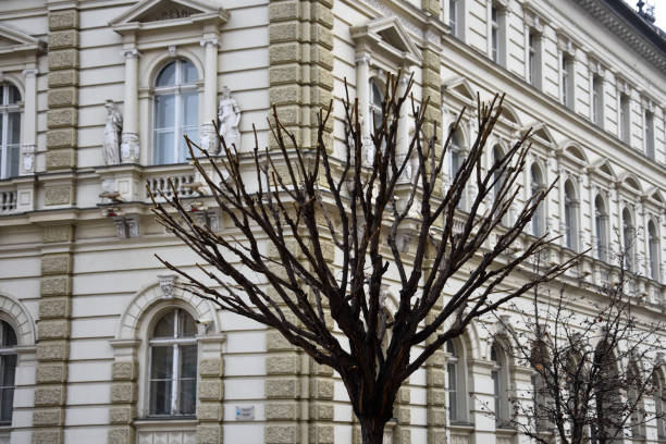 City Hall of Novi Sad. Serbia