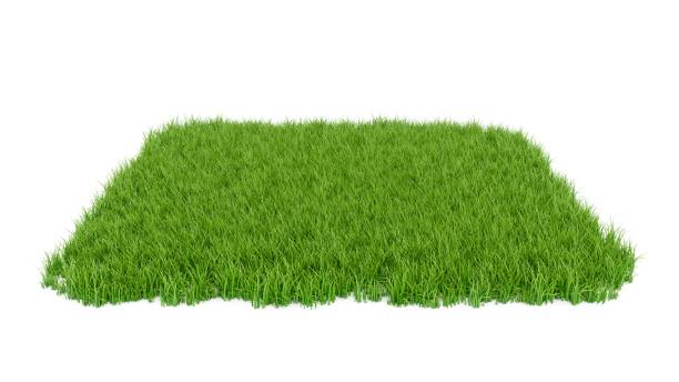 illustrations, cliparts, dessins animés et icônes de champ d’herbe verte de rendu 3d isolé sur fond blanc - turf