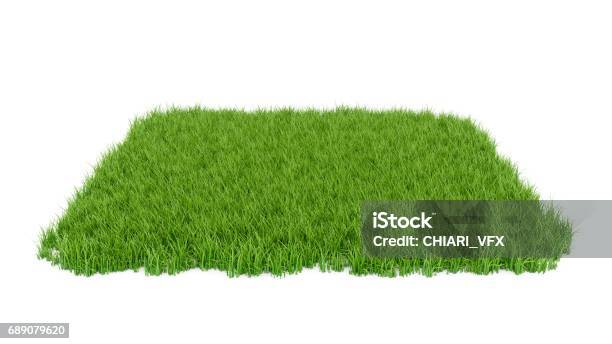 3d Rendering Green Grass Field Isolated On White Background Stock Illustration - Download Image Now