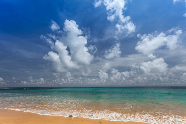 istock Havelock Island blue sky with white clouds, Andaman Islands, India 689082050