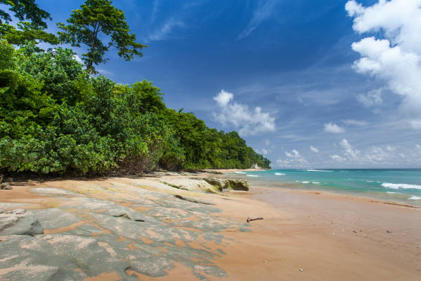 istock Havelock Island blue sky with white clouds, Andaman Islands, India 689082058