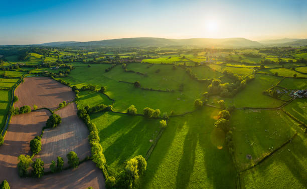 panorama aérea sobre campos de verão verde agricultura pasto dourado pôr do sol - welsh culture wales field hedge - fotografias e filmes do acervo