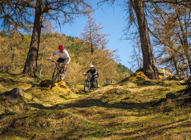 Couple mountain biking in the forest A young couple mountain biking in a forest in the Swiss alps. mountain biking photos stock pictures, royalty-free photos & images