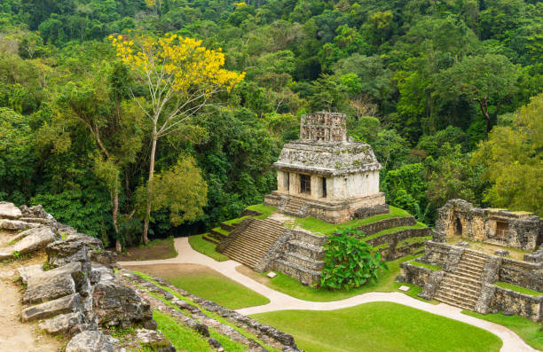 istock Palenque Jungle Maya Temple 689090222