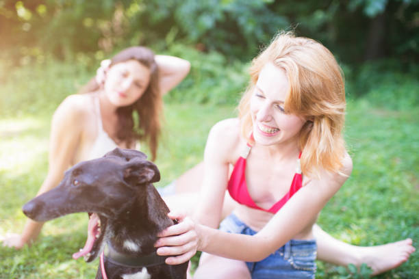 Young blonde woman playing with her dog on green summer meadow. Her girlfriend sitting in the back on blanket unsharp in the background. Selective Focus. Authentic Candid Summer Lifestyle.
