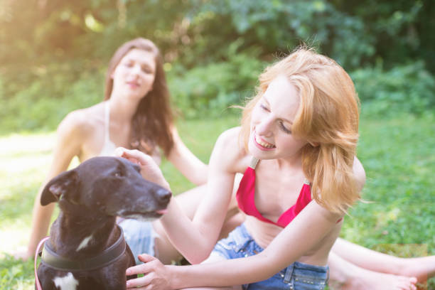 Young blonde woman stroking and playing with her dog on green summer meadow. Her girlfriend sitting in the back on blanket unsharp in the background. Selective Focus. Authentic Candid Summer Lifestyle.