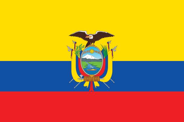 ilustraciones, imágenes clip art, dibujos animados e iconos de stock de bandera de ecuador - bandera de ecuador