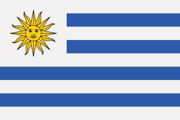 флаг уругвая - uruguay stock illustrations