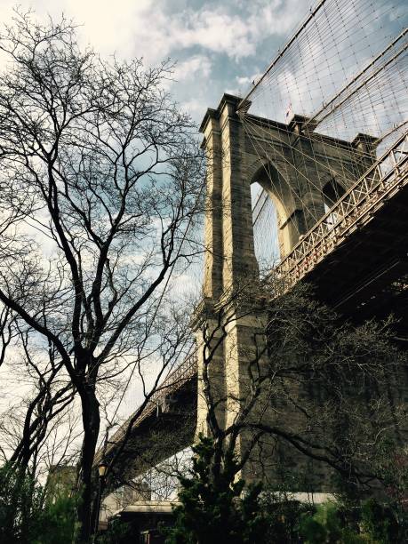 istock Brooklyn bridge with no leaves tree in vintage color 689097412