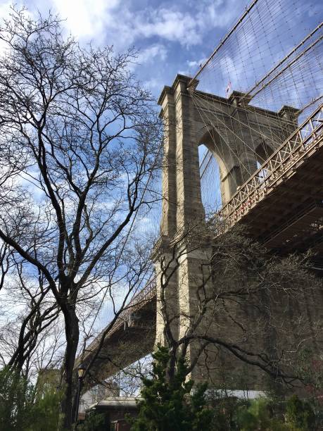 istock Brooklyn bridge and no leaves tree with blue sky 689097454