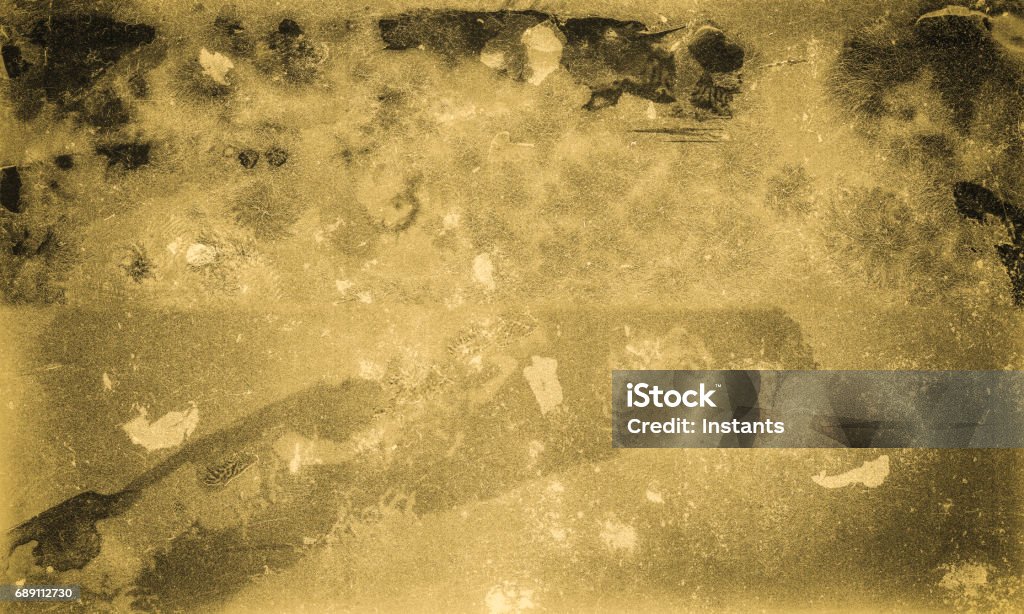 Background Plate Comp High Resolution Wet Plate Emulation Background Stock Photo - Download ...
