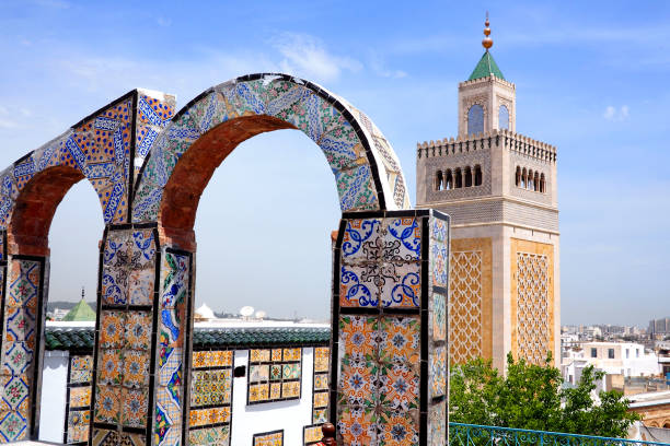 view over tunis medina to the great mosque