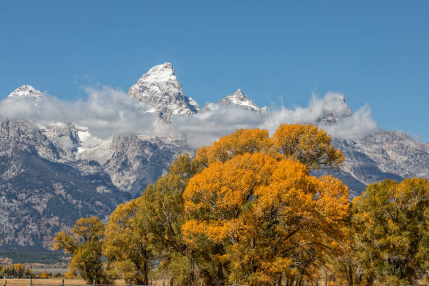istock Autumn Teton landscape 689115234