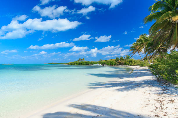 istock beautiful tropical sea 689115490