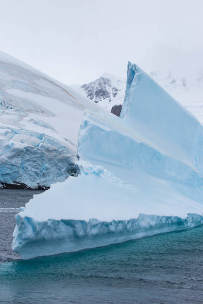 istock Antarctica: Iceberg in the Lemaire Channel 689154324