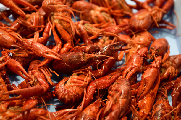 istock Close-up of boiled shrimps as a background . 689166112
