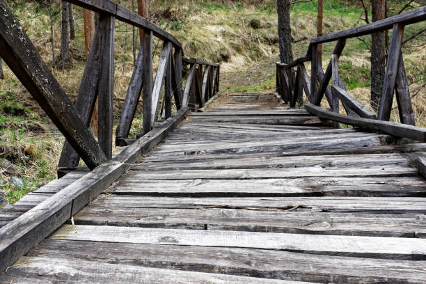 istock Wooden bridge in nature 689182398