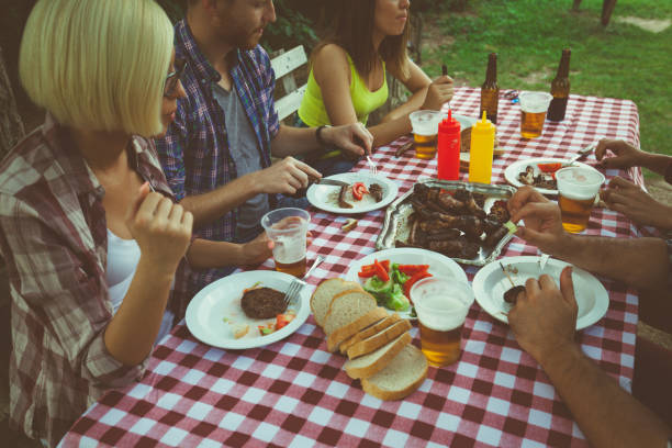 istock Friends have lunch time in nature 689182752
