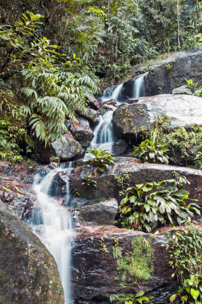 Waterfall in Tijuca park in Rio