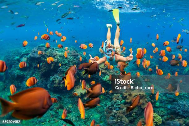 Photo libre de droit de Fille En Snorkeling Plongée Masque Sous Leau Avec Des Poissons De Récif Corallien banque d'images et plus d'images libres de droit de Plongée avec tuba