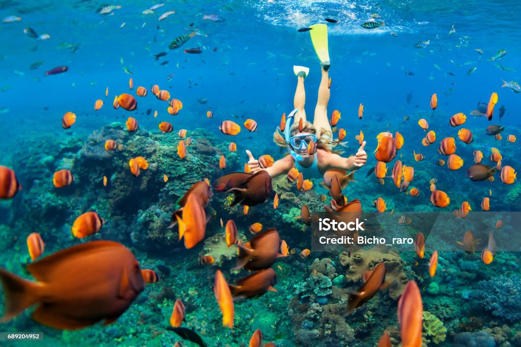 Girl in snorkeling mask dive underwater with coral reef fishes Happy family - girl in snorkeling mask dive underwater with tropical fishes in coral reef sea pool. Travel lifestyle, water sport outdoor adventure, swimming lessons on summer beach holiday with child Snorkeling Stock Photo