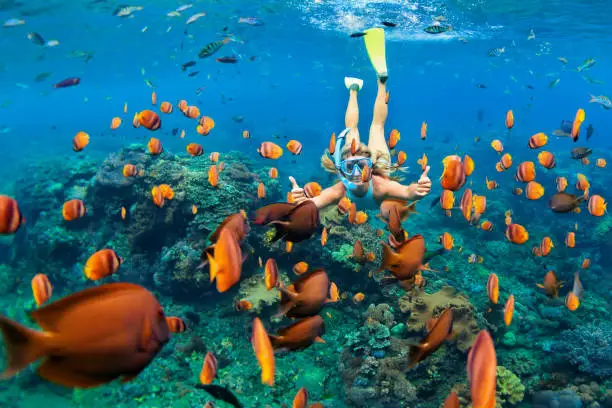 Photo of Girl in snorkeling mask dive underwater with coral reef fishes