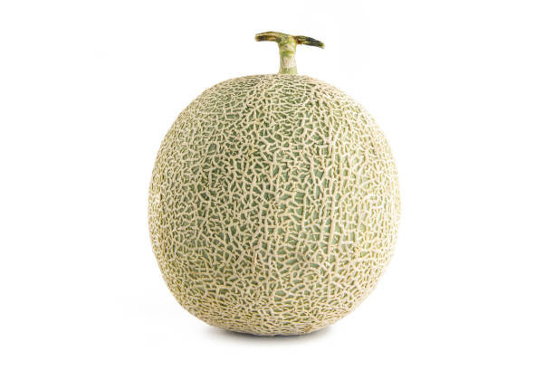 istock Cantaloupe Melon isolated on white background 689205272