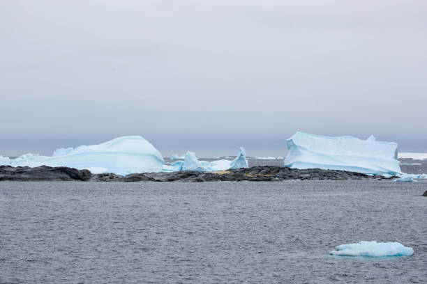 istock Antarctica: Icebergs at Petermann Island 689208698