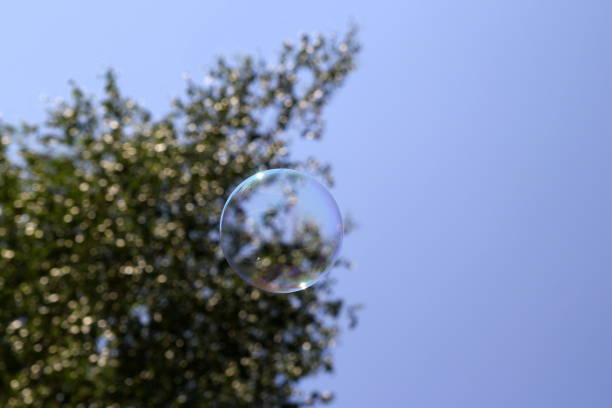 istock Travel to Arkaim, Russia. Russian birch tree and a soap bubble. 689211924