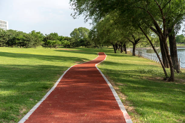 都市公園を通ってグリーンウェイ - 全天候型トラック ストックフォトと画像