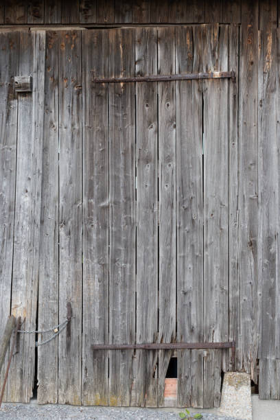 istock wooden wall abstract background with grey looking planks 689220060