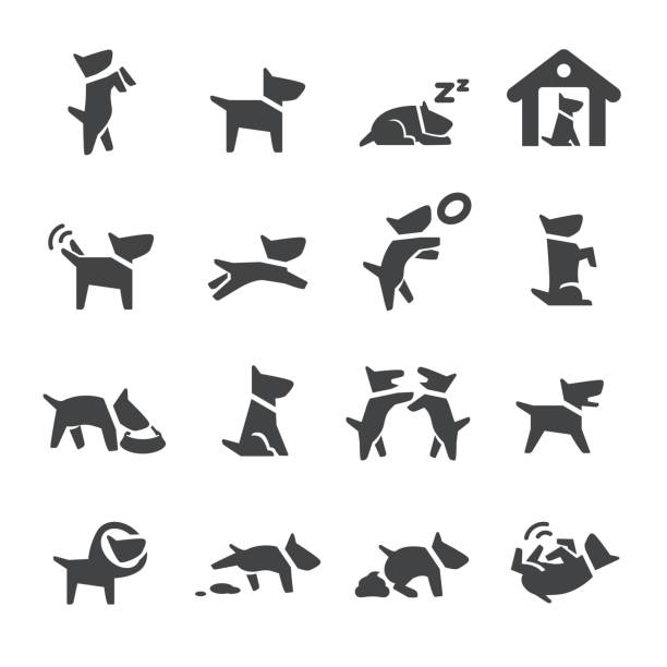 Dog Icons - Acme Series Dog Icons begging animal behaviour stock illustrations