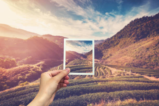 istock Hand holding Instant photo and view tea field sunrise. 689281162