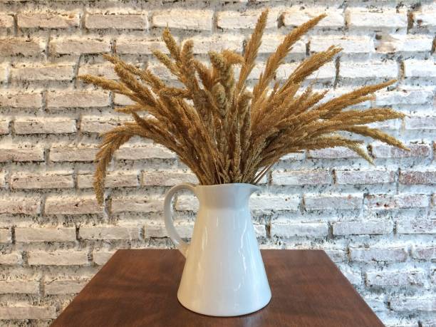 istock Ear of barley in a white ceramic jug 689283964