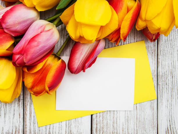 istock Spring tulips flowers and card 689284180