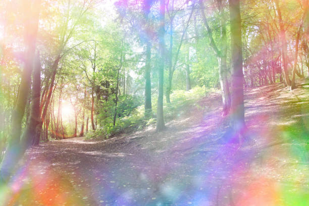 istock Fantasy rainbow bokeh woodland 689284982