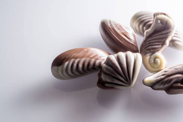 istock Chocolate candy in the form of sea shells on white table with reflection 689291564