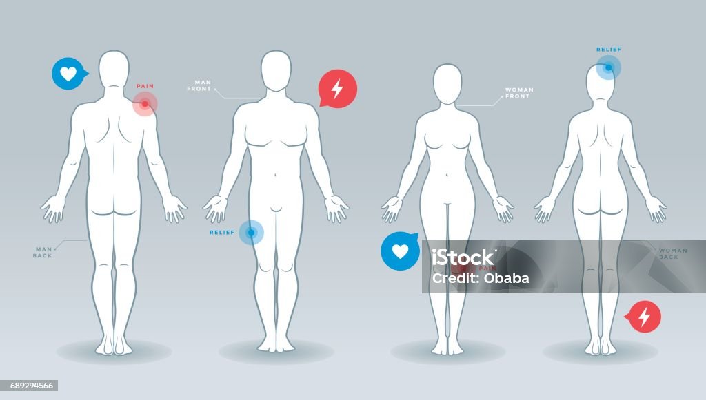 Hombre y la mujer siluetas vector - arte vectorial de Cuerpo humano libre de derechos