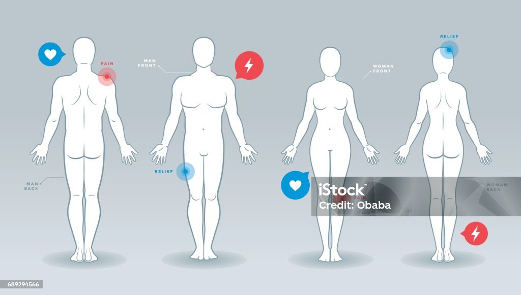 Man and woman vector silhouettes Man and woman vector silhouettes with infographics elements The Human Body stock vector