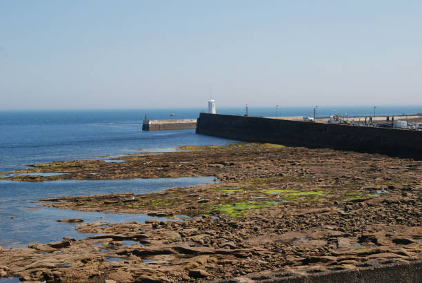 istock harbour at Seahouses on hazy summer day 689294568