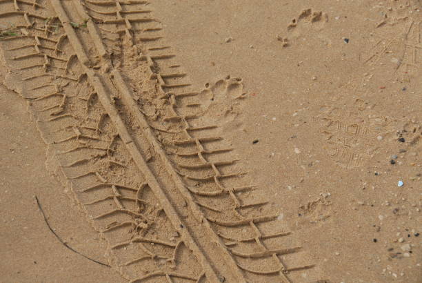 istock Traces in the sand - Mediterranean - Spain 689301338