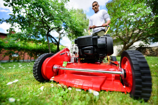 istock Mowing the lawn in nice green garden. 689304126
