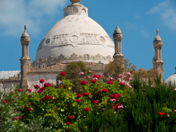 istock tunisia in africa 689304408