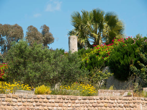 istock tunisia in africa 689313654