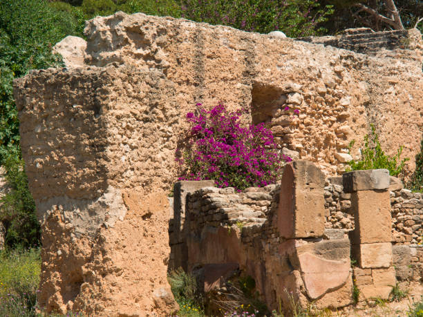 istock tunisia in africa 689316276